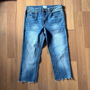 Hudson Jeans
